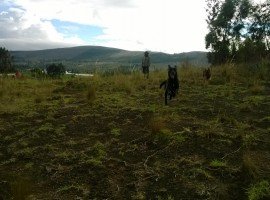 Terreno de Venta en Salcedo