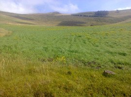 Terreno de Venta de 10 Hectáreas en Cayambe