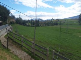 Terreno en Venta 5 hectareas planas en Cayambe