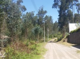 Terreno Conocoto de Venta detrás del Colegio La Salle