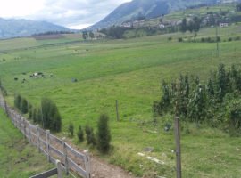 Terreno de Venta 5 Hectáreas Planas Cayambe