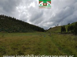 Terreno de Venta en Cayambe