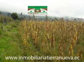 Terreno de Venta Otavalo - Cotacachi