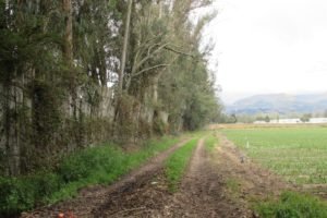 Hacienda En Venta 30 Hectareas Vía La Victoria El Quinche