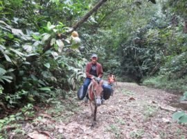 Terreno En Venta en Reserva Mache Chindul, Muisne Ecuador