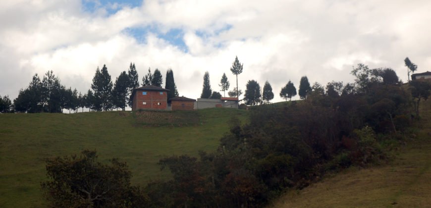 Quinta Ganadera En Tarqui Cuenca