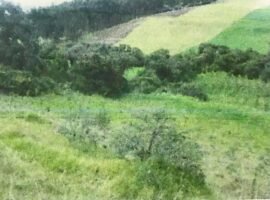 Terreno de Venta Amaguaña, mas de 5 hectáreas