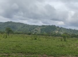 ESMERALDAS