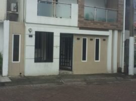 Muhco lote 2