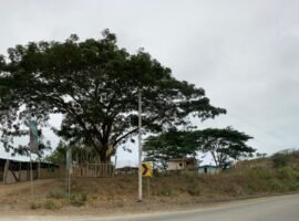 Ruta del spondylus entre pedernales y jama sector la cabuya beah