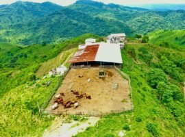 san Isidro Manabi