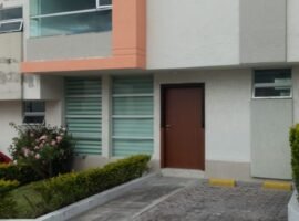 Av. Charles Darwin e Ismael Solis