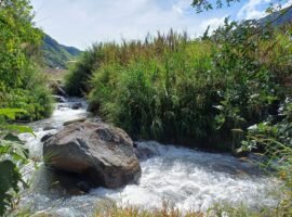 Cotacachi, Intag, a 3 km de Termas Nangulví