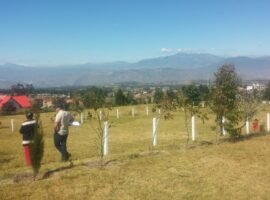Cantón Pedro Moncayo Malchingui conjunto Los Robles