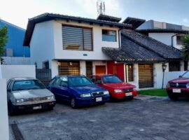 Dammer, Sector 6 de diciembre y el Inca
