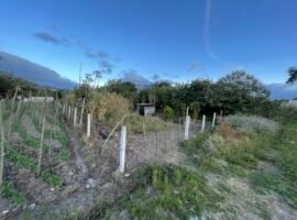 Terreno en venta, parroquia Chaltura