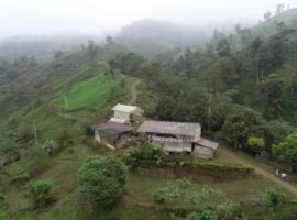 Se vende Hacienda 83 Hs Prov.Bolivar-Los Rios