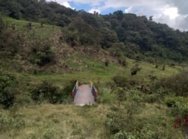 Cosanga via Quito - Tena