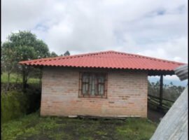 Imbabura-Ibarra-san Antonio- angarrumi