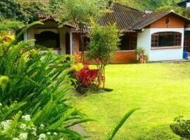 Baños de Agua Santa - Tungurahua