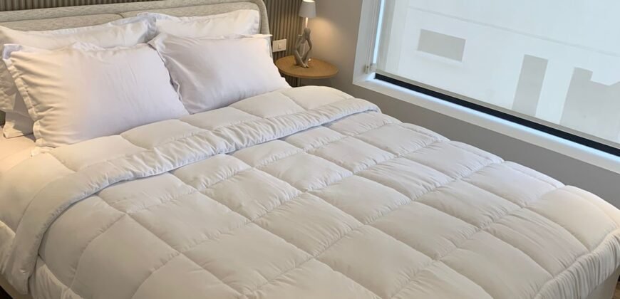 Hermosa Suite Amoblada