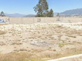 Miguel Medina y Seúl