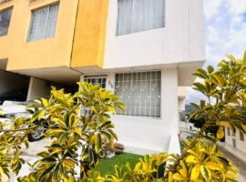 Javier Espinosa - Carretas