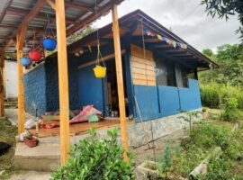 Amala Alto, San Pedro de Vilcabamba