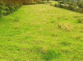chillogallo.barrio Huarcay, Quito, Ecuador