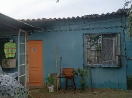 Salinas, Jose Luis Tamayo