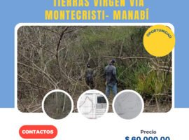 Montecristi Manabí sitio camarón de abajo