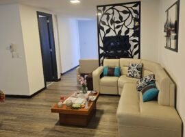 Mariano Paredes. Ponceano Alto